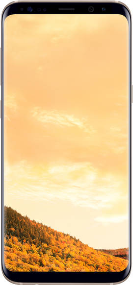 Samsung Galaxy S8 Plus