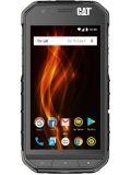 CAT S31 Price