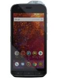 CAT S61 Price