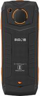 Bloom Sporty