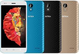 Intex Lions 6