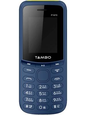 tambo teddy price