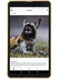 DOMO Slate S10 Price
