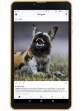 DOMO Slate S10