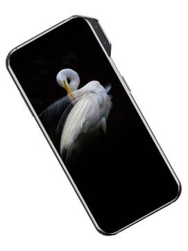 ZTE Axon V