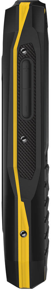 Blackview BV1000