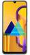 Samsung Galaxy M30s