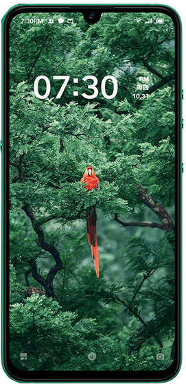 Smartisan Jianguo Pro 3