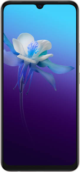 Vivo V20