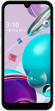 LG Q31