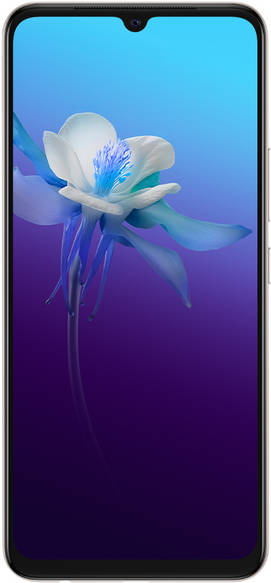 vivo V20 256GB