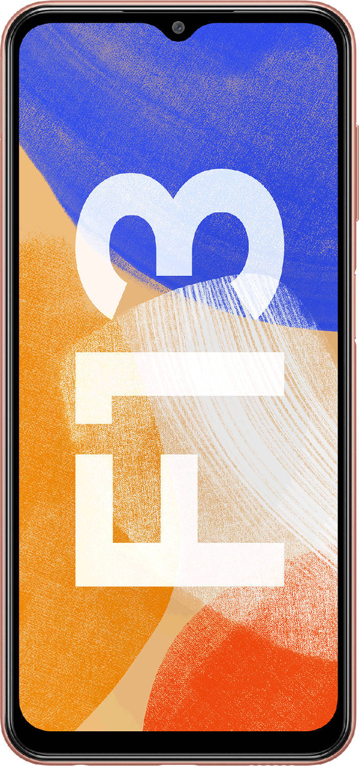 Samsung Galaxy F13 128GB Price in India, Full Specs (2nd August 2024