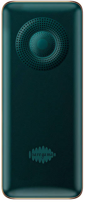 Saregama Carvaan M11