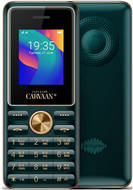 Saregama Carvaan M11