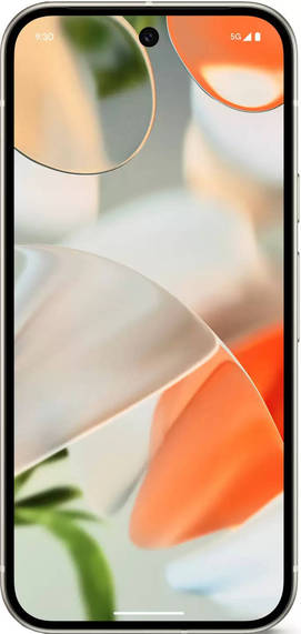 Google Pixel 9