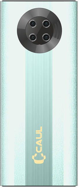 Caul CP2810