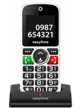 Easyfone Udaan Plus