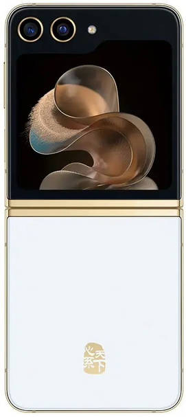 Samsung W24 Flip