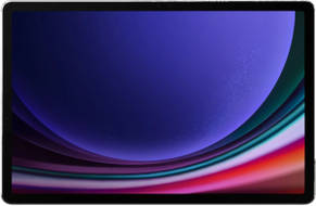 Samsung Galaxy Tab S9 256GB