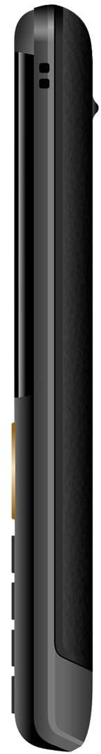 Saregama Carvaan M15