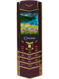 Snexian Bold V1