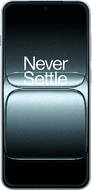 OnePlus 13T