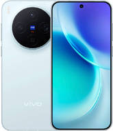 vivo X300