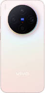 vivo X300
