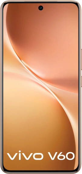 vivo V60