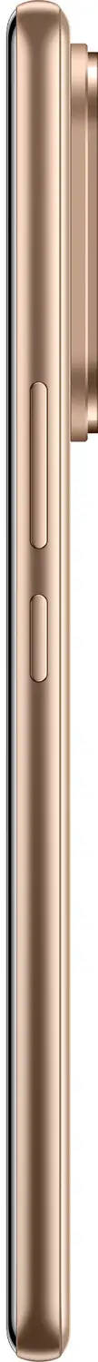 vivo V60