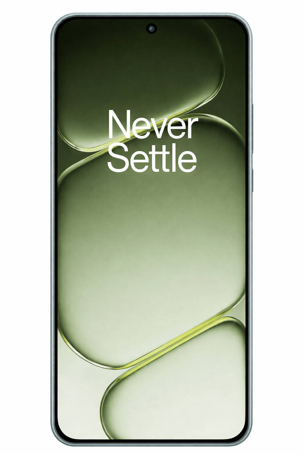 OnePlus