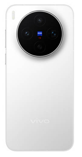 vivo X300s
