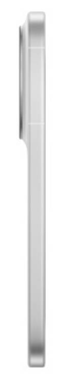 vivo X300s