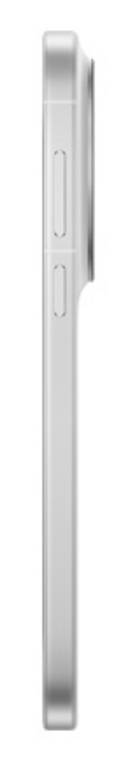 vivo X300s