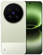 vivo X300s