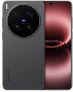 vivo X300s