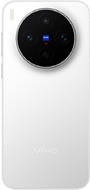 vivo X300s