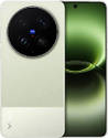 vivo X300s