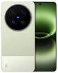 vivo X300s