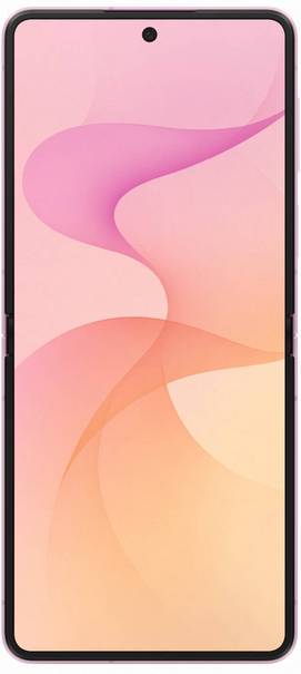 Samsung Galaxy Z Flip 8