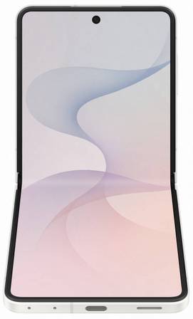 Samsung Galaxy Z Flip 8