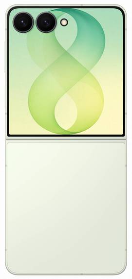 Samsung Galaxy Z Flip 8