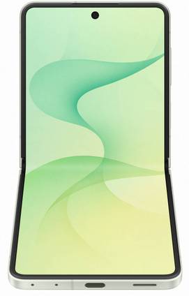 Samsung Galaxy Z Flip 8