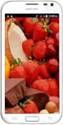 Adcom Thunder A111 Quad Core