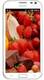 Adcom Thunder A111 Quad Core