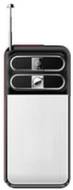 Agtel AG33
