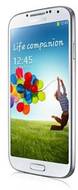 Agtel P300