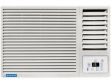 Blue Star WFA409GL 0.8 Ton 4 Star  Window AC price in India