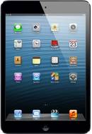Apple iPad mini 32GB WiFi + Cellular