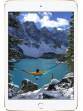 Apple iPad Mini 4 WiFi Cellular 32GB